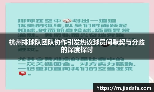 杭州排球队团队协作引发热议球员间默契与分歧的深度探讨