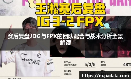 奇异果wygvip