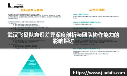 武汉飞盘队意识差异深度剖析与团队协作能力的影响探讨