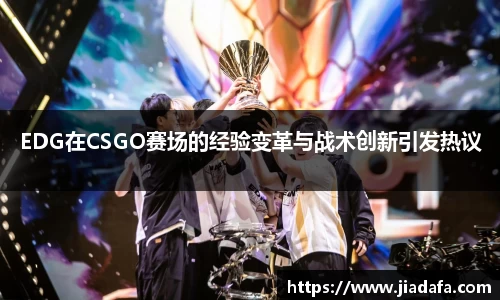 奇异果wygvip