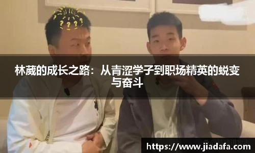 mgty奇异果体育